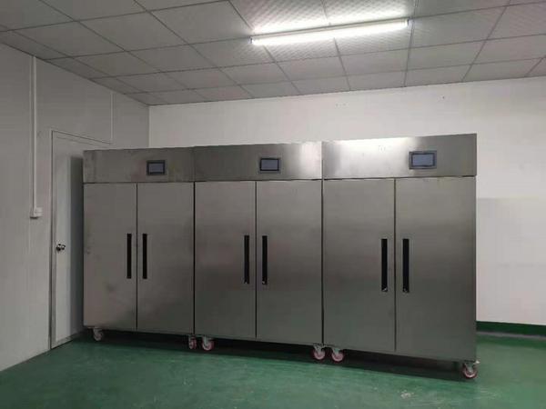 華世大帝守護記：西安館藏恒溫柜揭秘！